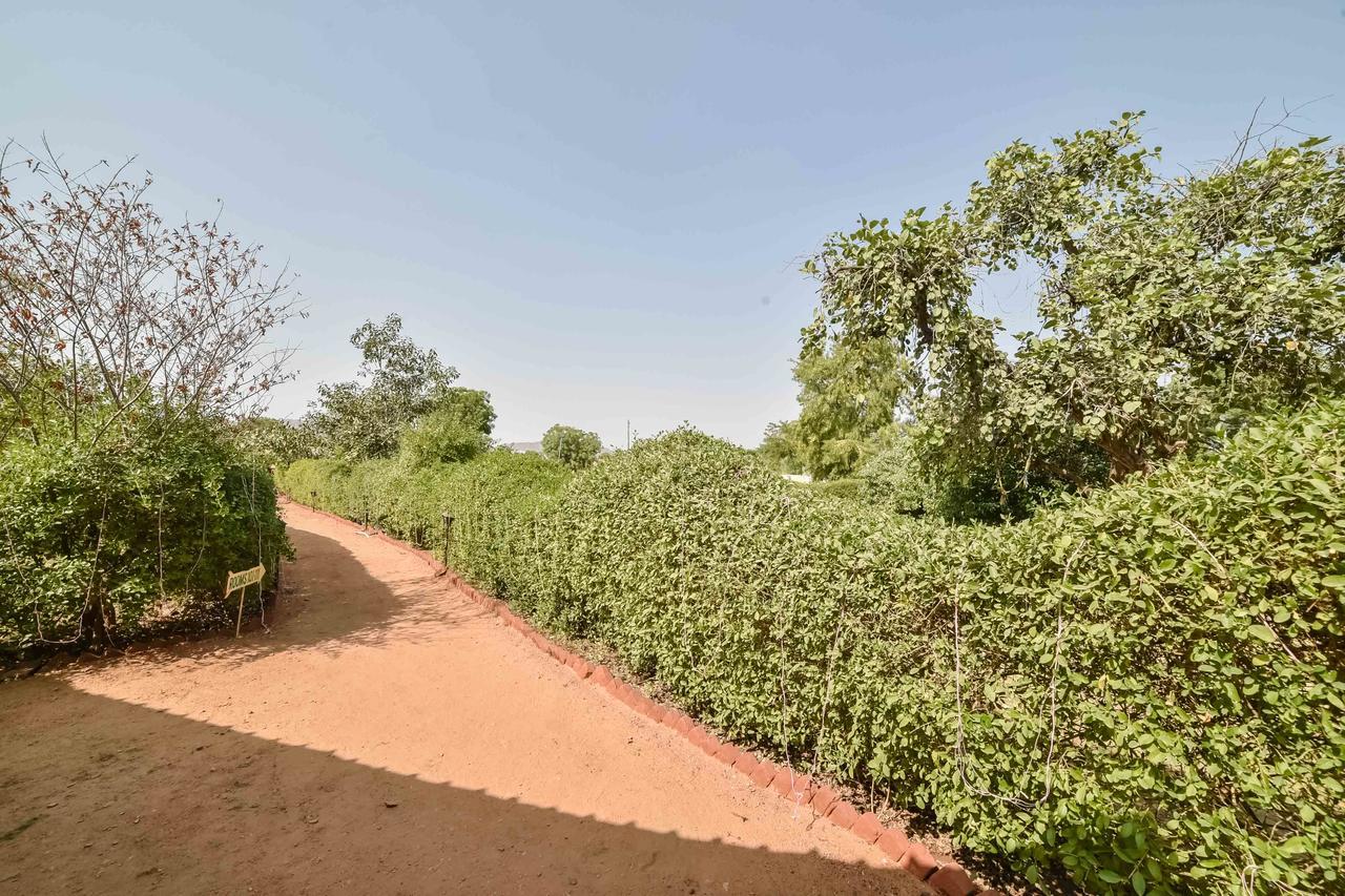 Pushkar Rajwara Resort Экстерьер фото