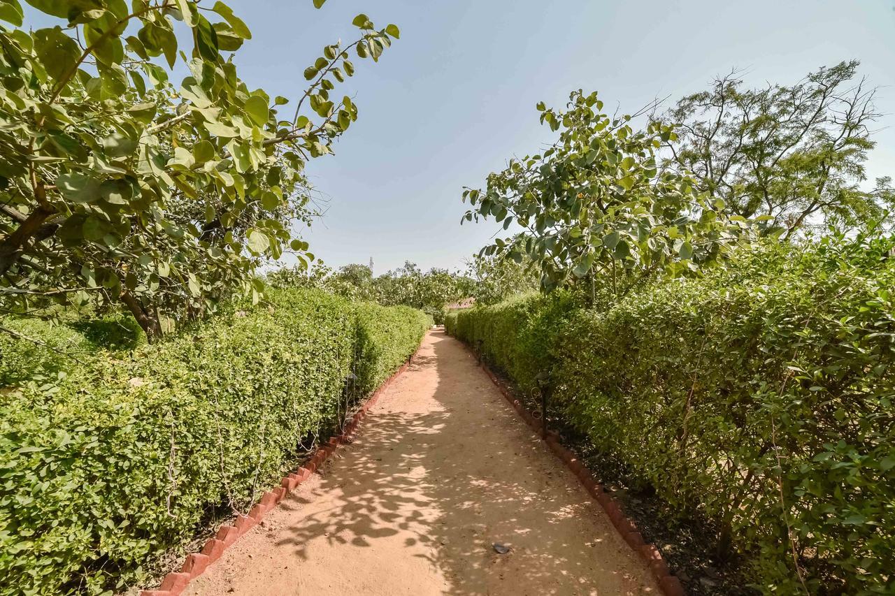 Pushkar Rajwara Resort Экстерьер фото